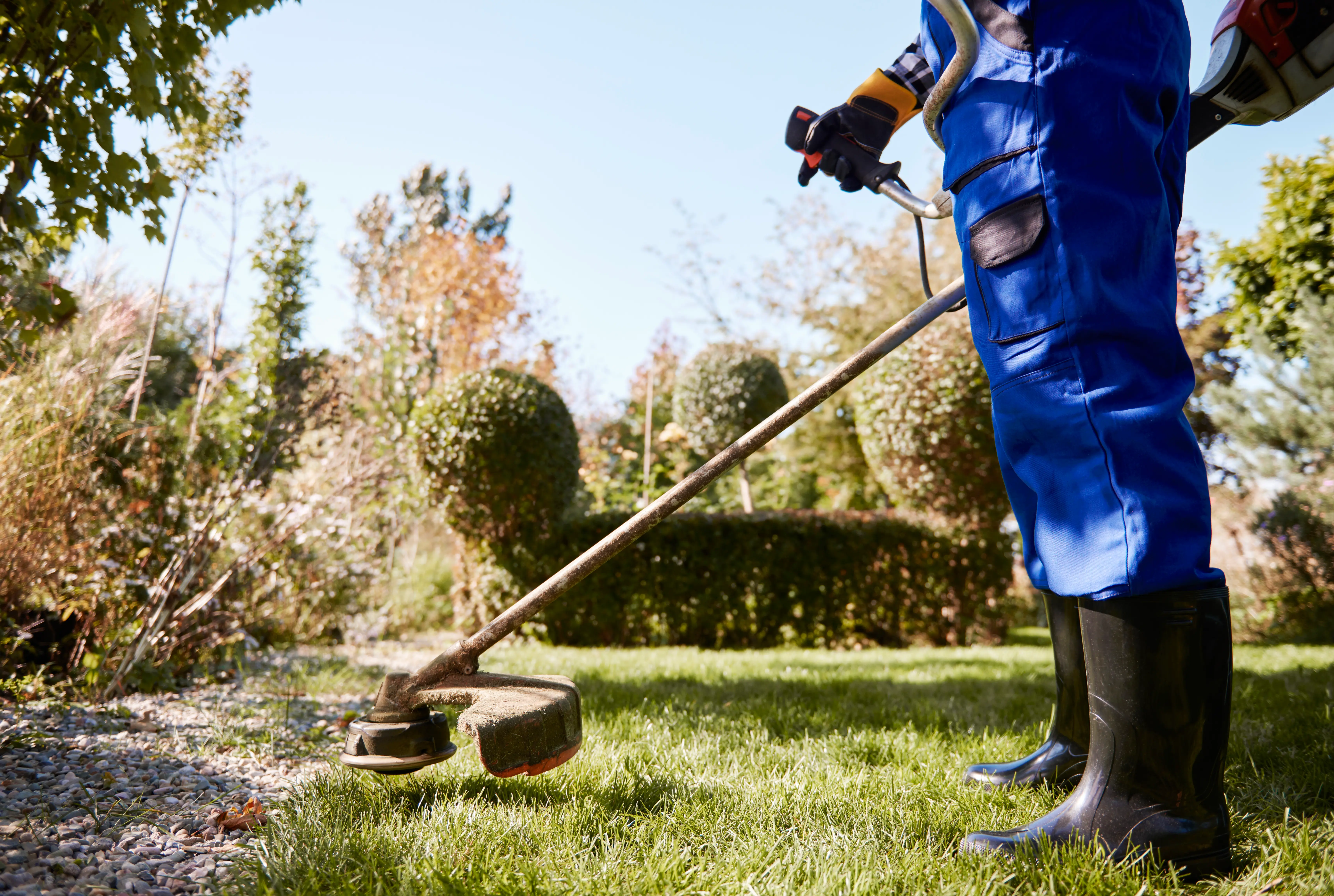 Landscape & Gardening